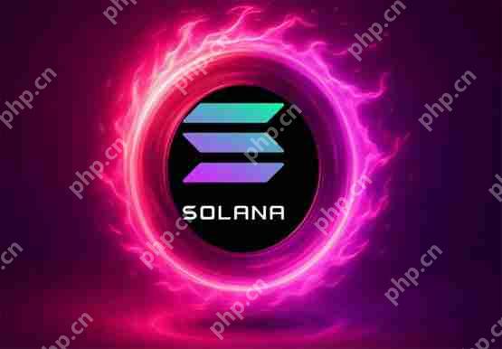 一文了解Solana政策研究组织向SEC提交Project Open试点提案：打造链上股票交易平台